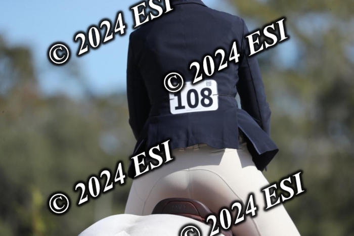 385RWCL3464