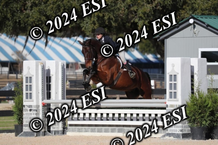 038RWCL2963