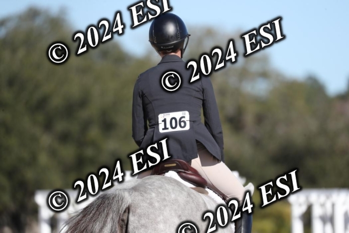 038RWCL2987