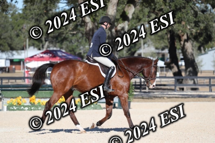 038RWCL2999