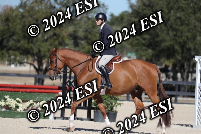 038RWCL3020