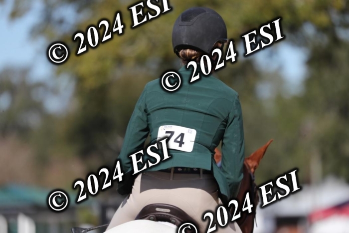 038RWCL3043