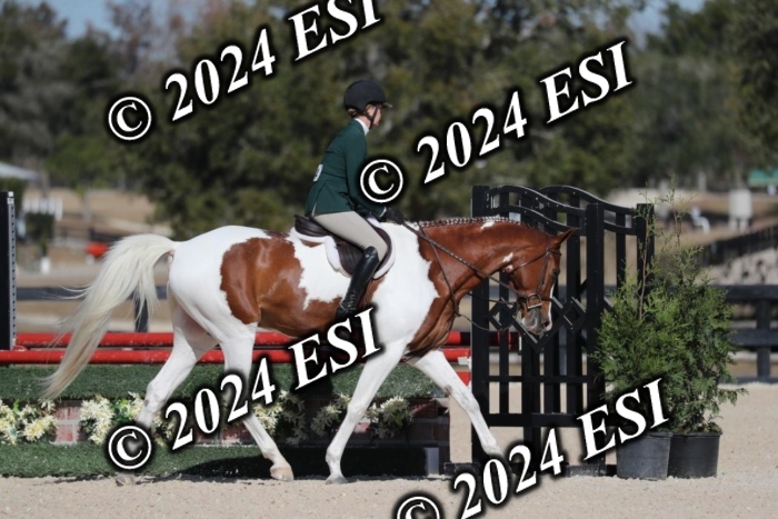 038RWCL3047