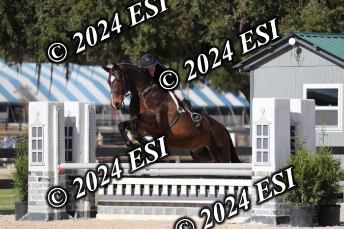 038RWCL3068