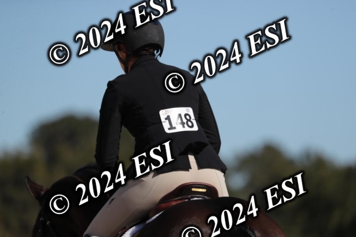 038RWCL3079
