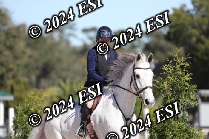 038RWCL3096