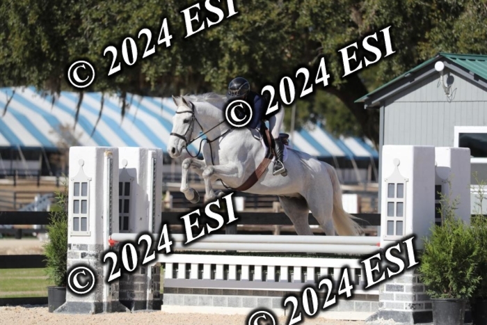 038RWCL3098
