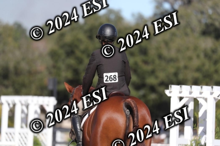 038RWCL3105