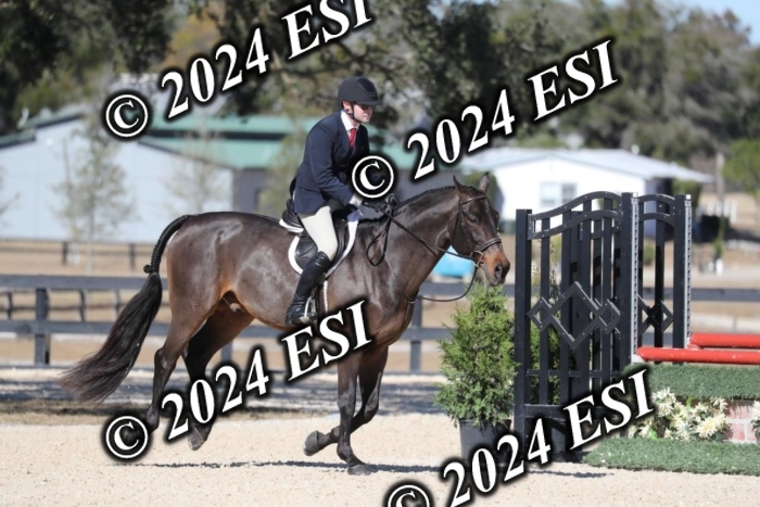 038RWCL3147