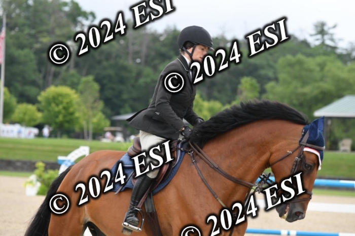 268DK1_6871