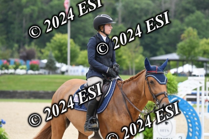 268DK1_6913