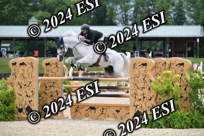 268DK1_6917