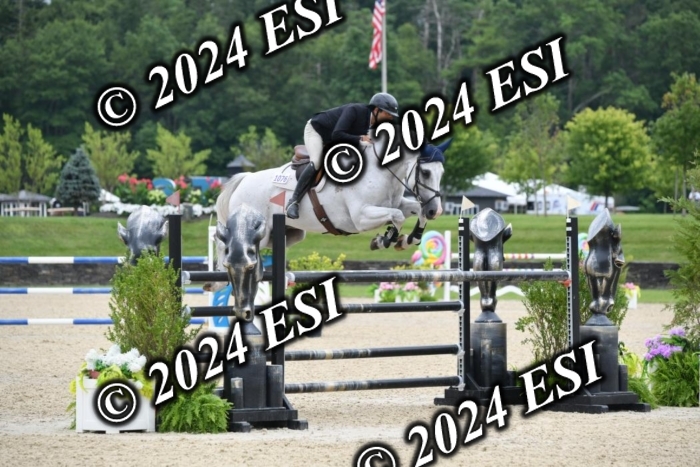 268DK1_6918