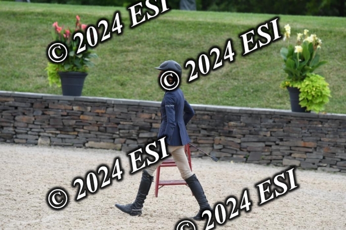 268DK1_6952