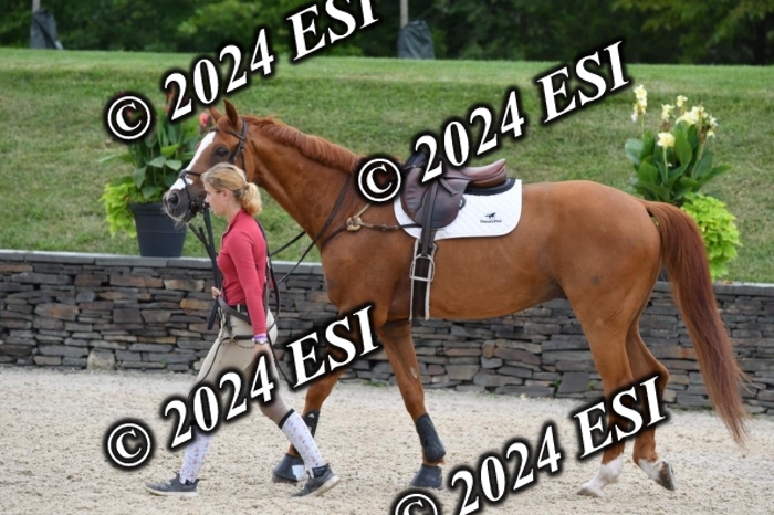 268DK1_6953