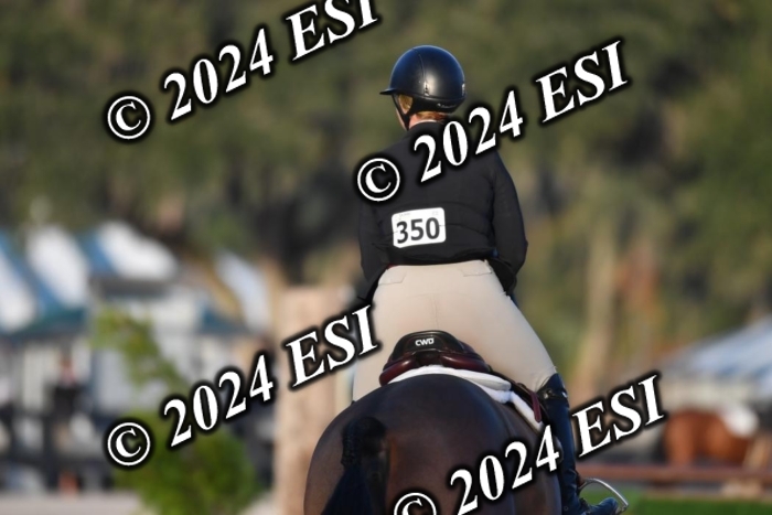 373CAH_9927