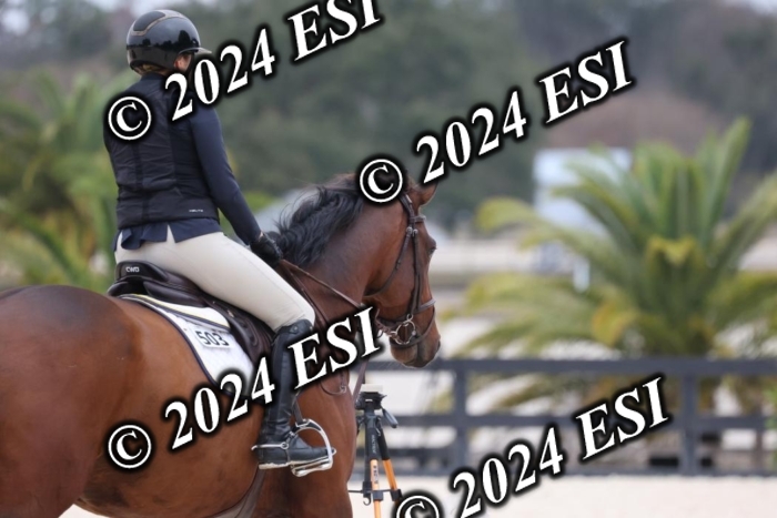 2080H8A9336