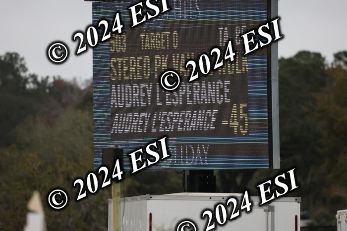 2080H8A9337