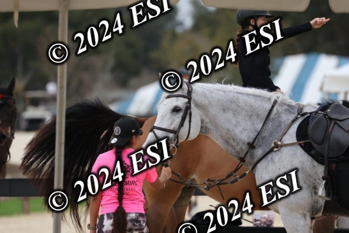 2080H8A9362