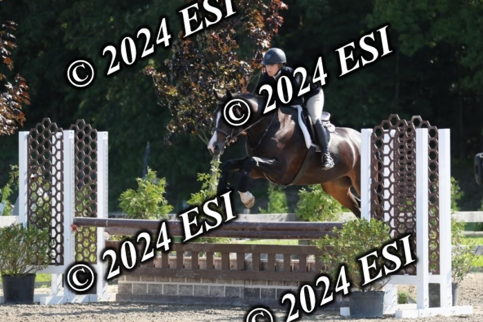 321RWCL1253