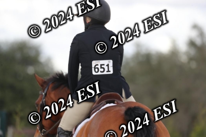 015RWCL4686