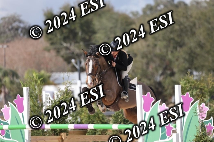 2160H8A0733