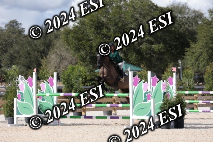 2160H8A0782
