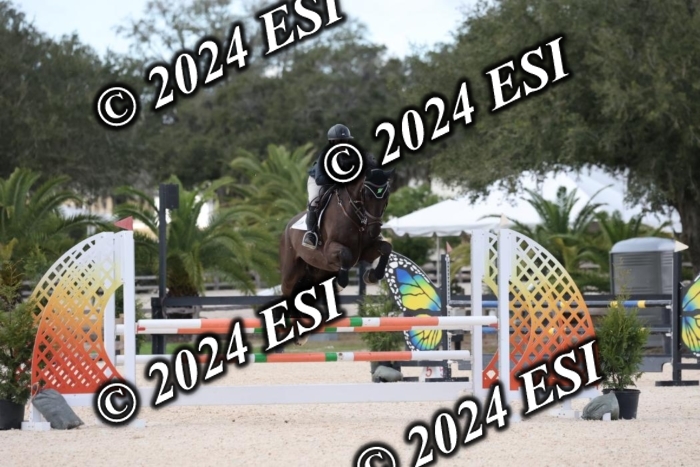 2160H8A0922