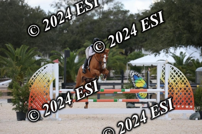 2160H8A1028