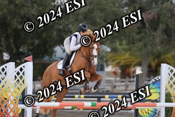 2160H8A1044