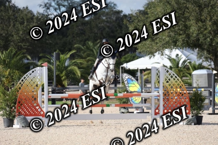 2160H8A1076