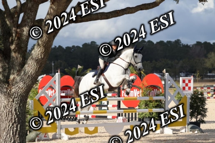 2160H8A1078