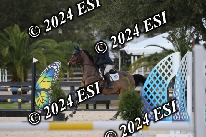 2120H8A0310
