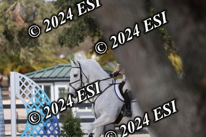 2120H8A0387