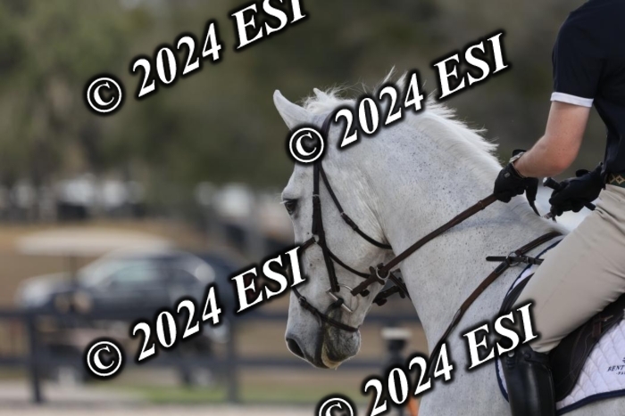 2120H8A0390