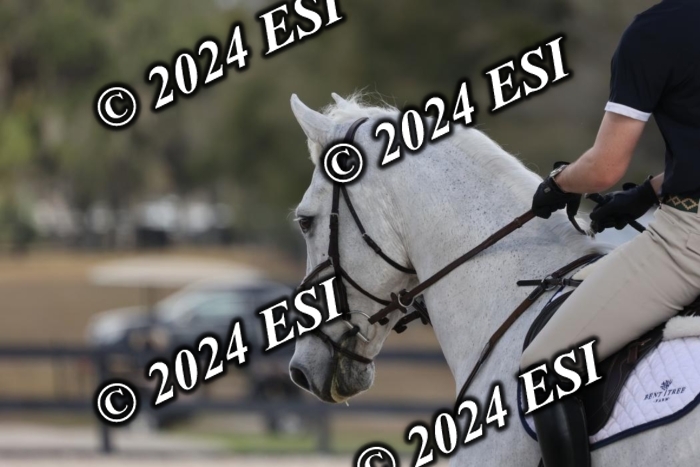 2120H8A0391
