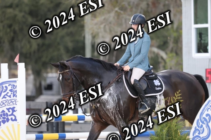 2120H8A0430