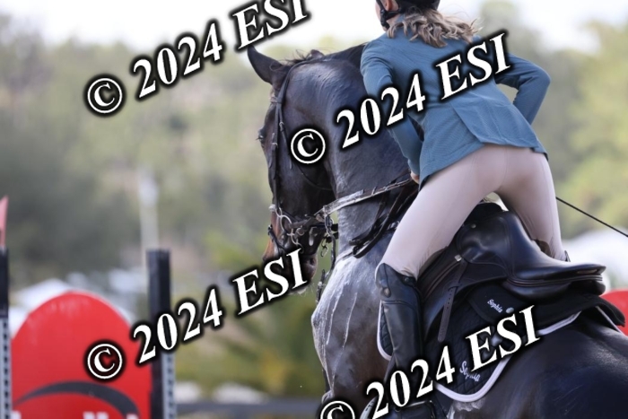 2120H8A0434