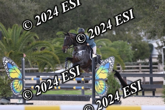 2120H8A0446