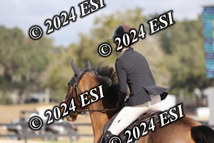2120H8A9492