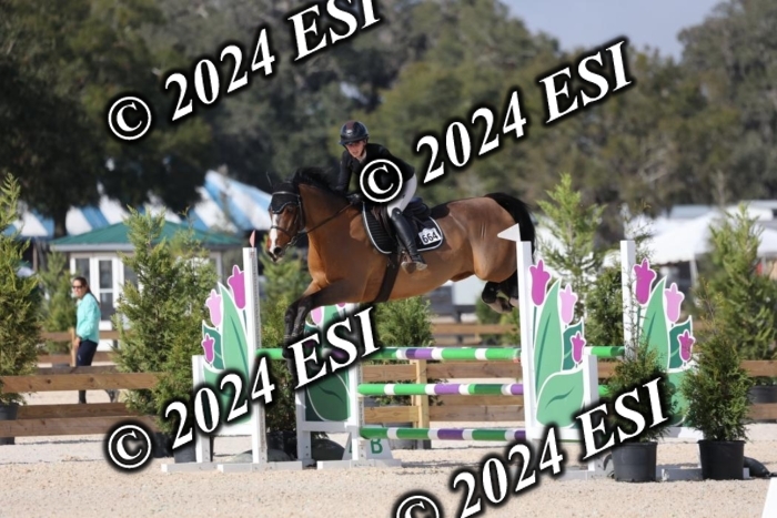 2120H8A9508