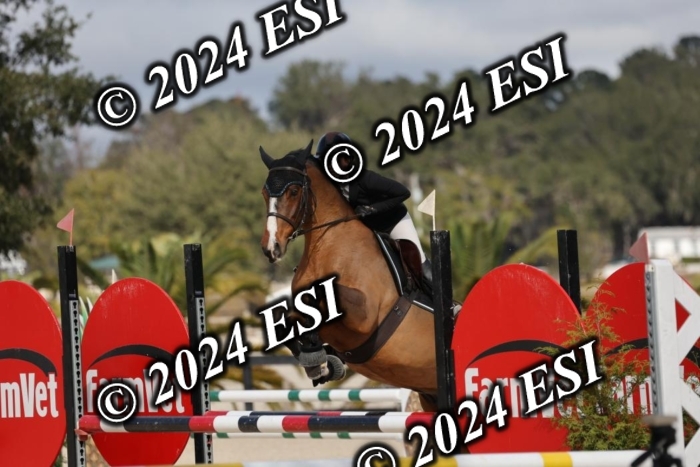 2120H8A9516