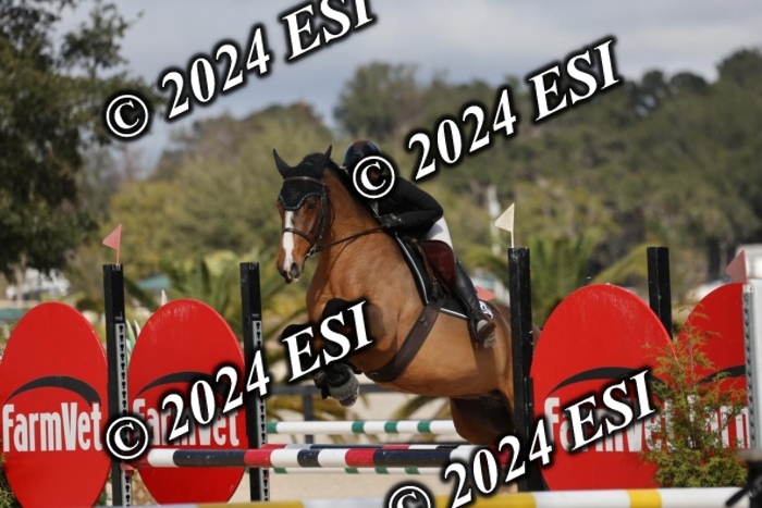 2120H8A9517