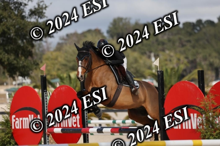 2120H8A9518