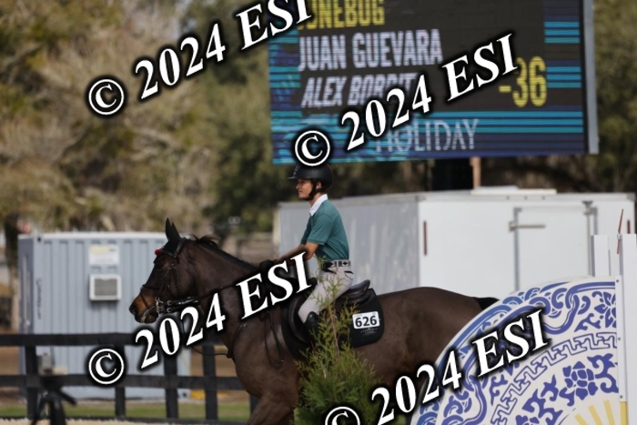 2120H8A9528