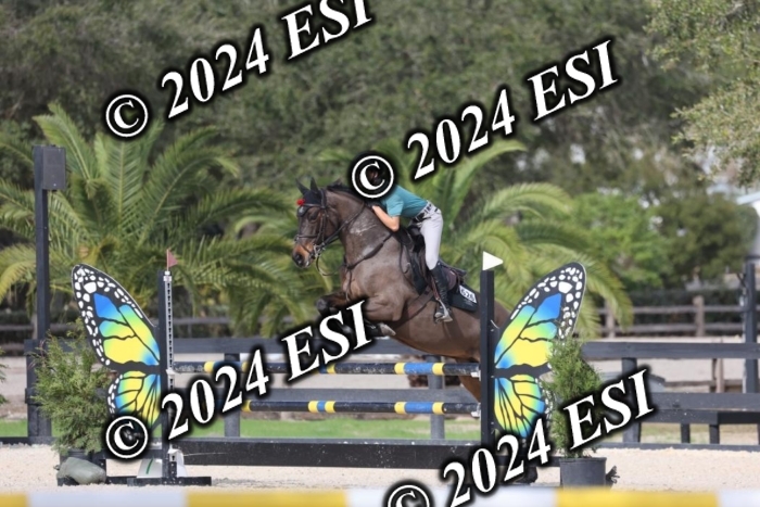 2120H8A9538
