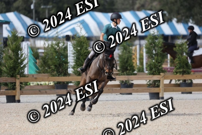 2120H8A9549