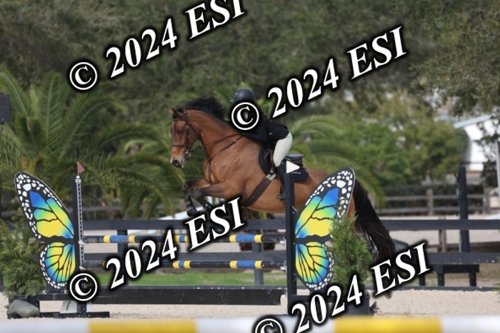2120H8A9564