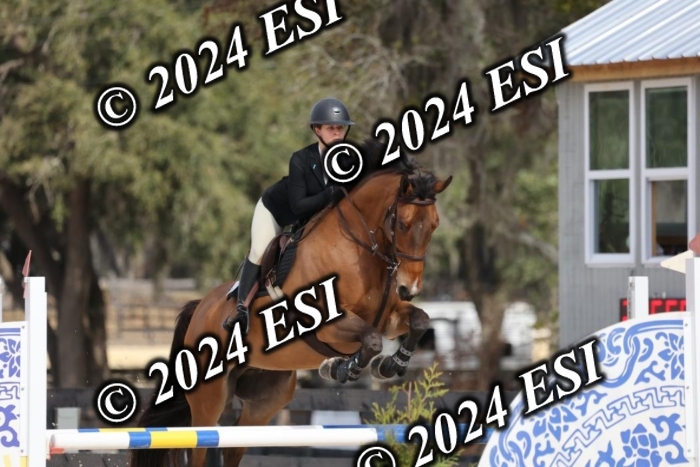2120H8A9581
