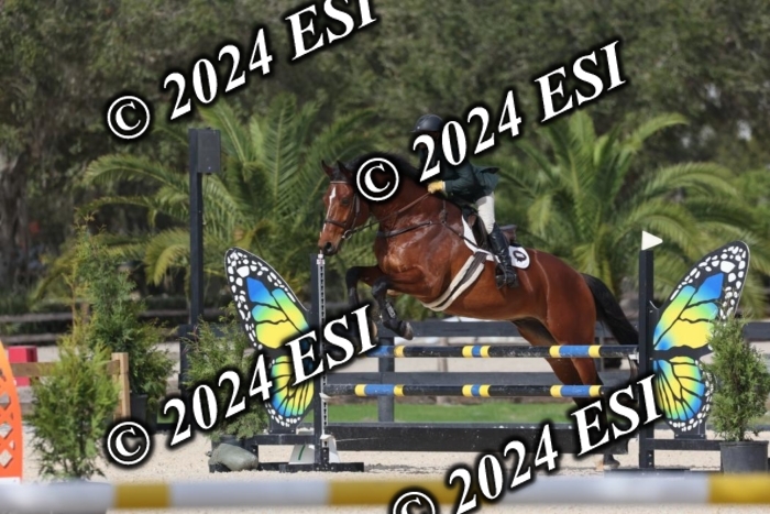 2120H8A9621